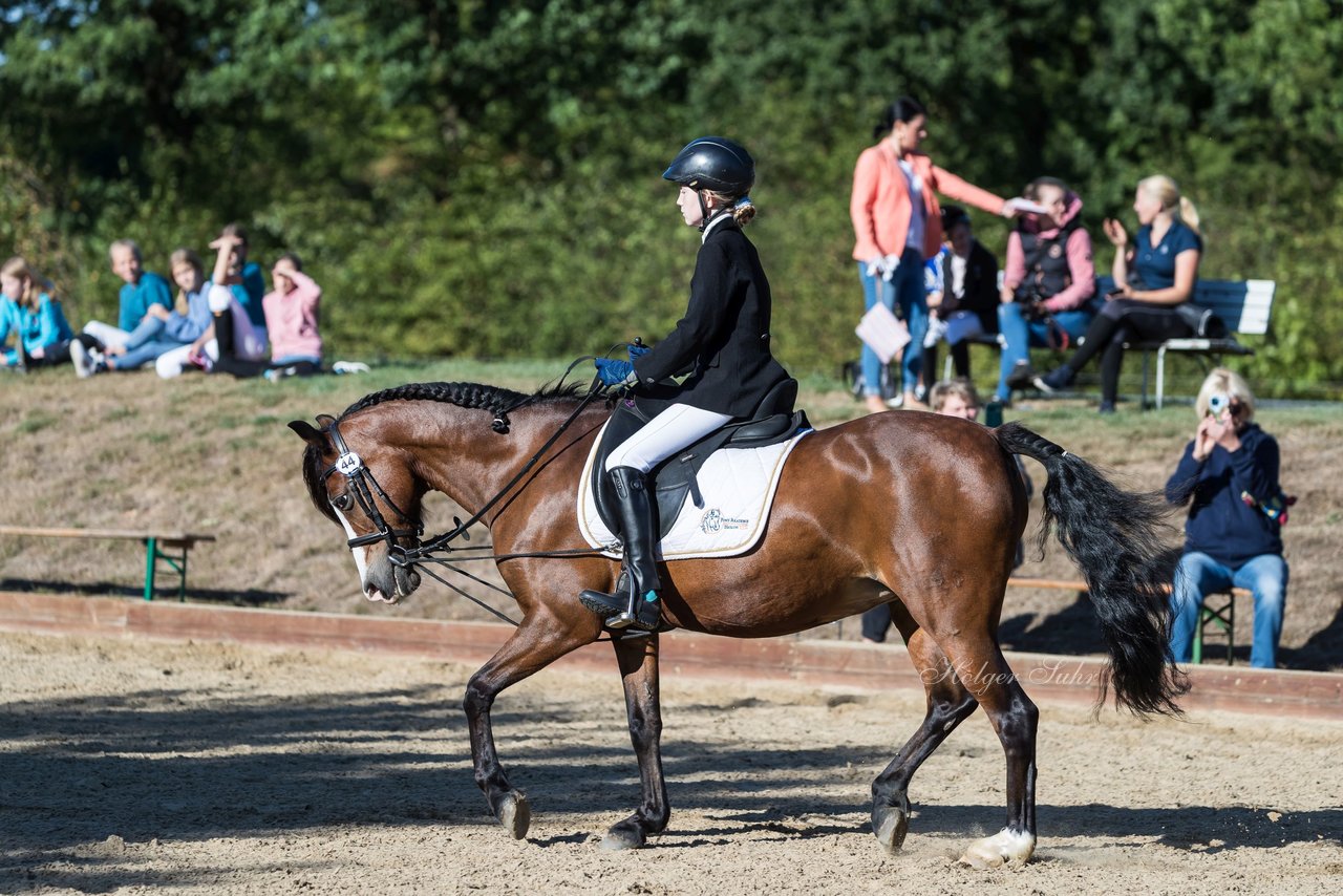 Bild 35 - Pony Akademie Turnier